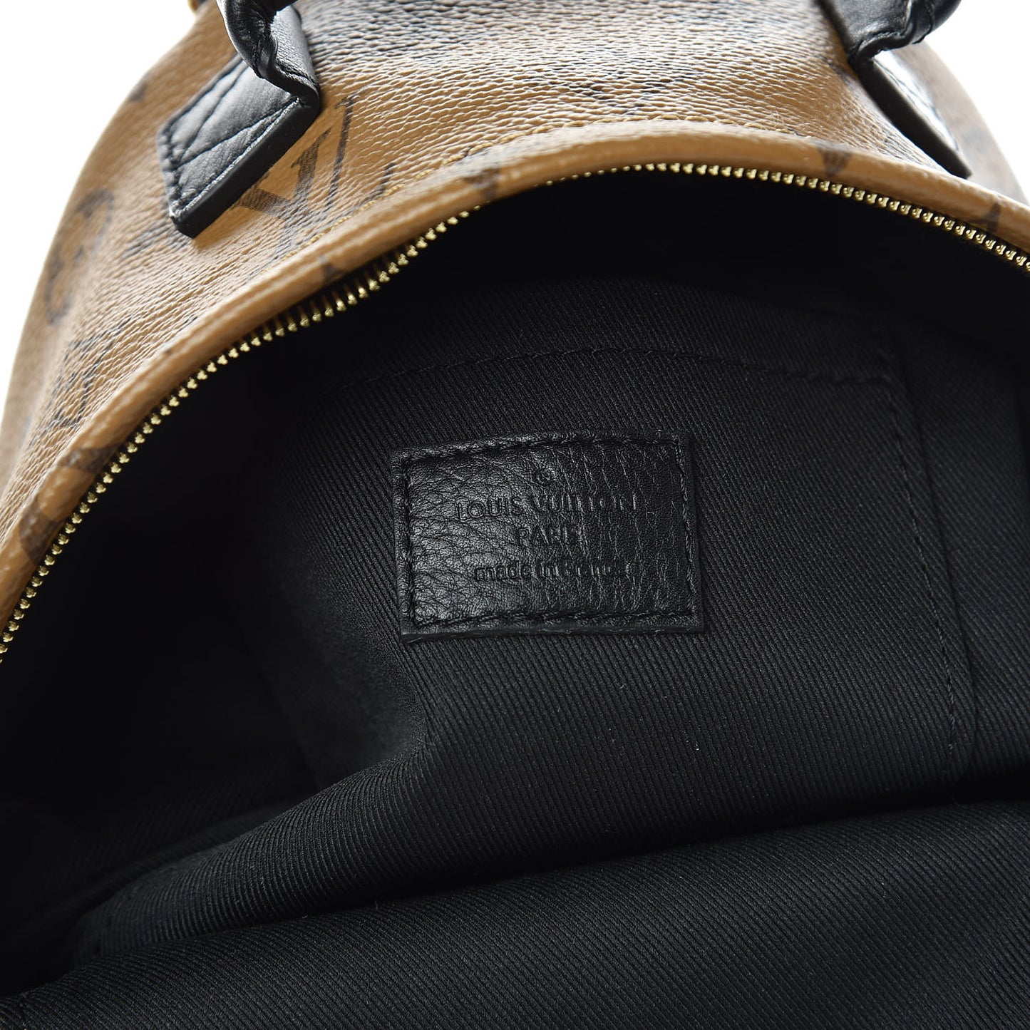 Reverse Monogram Palm Springs Backpack Mini