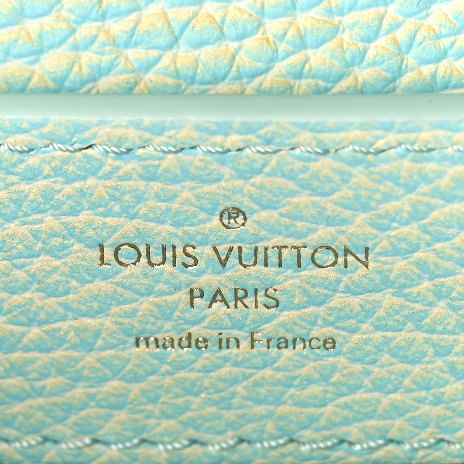 Louis Vuitton Taurillon Summer Stardust Mini Capucines Vert D'eau 6 of 9