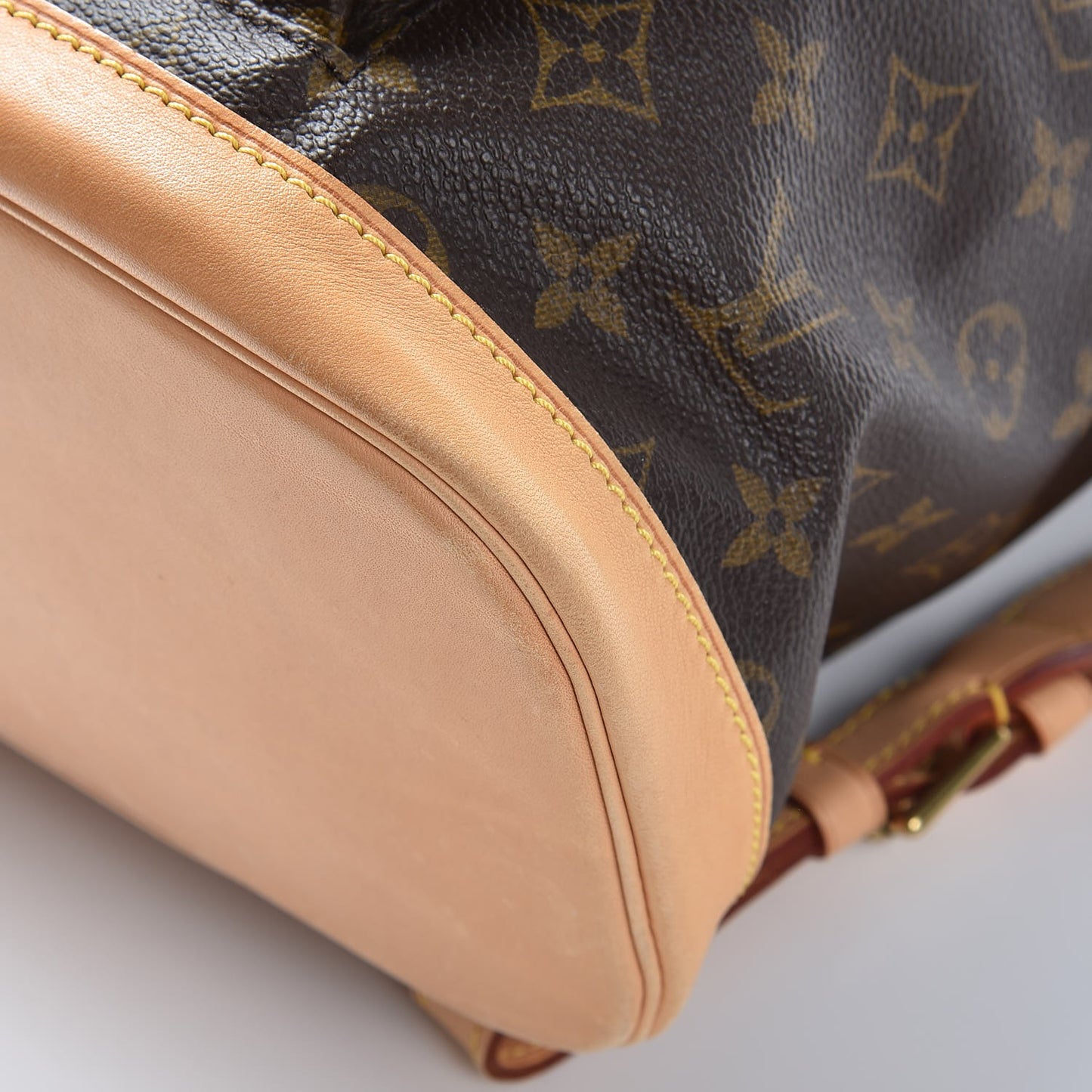 Monogram Montsouris GM Backpack