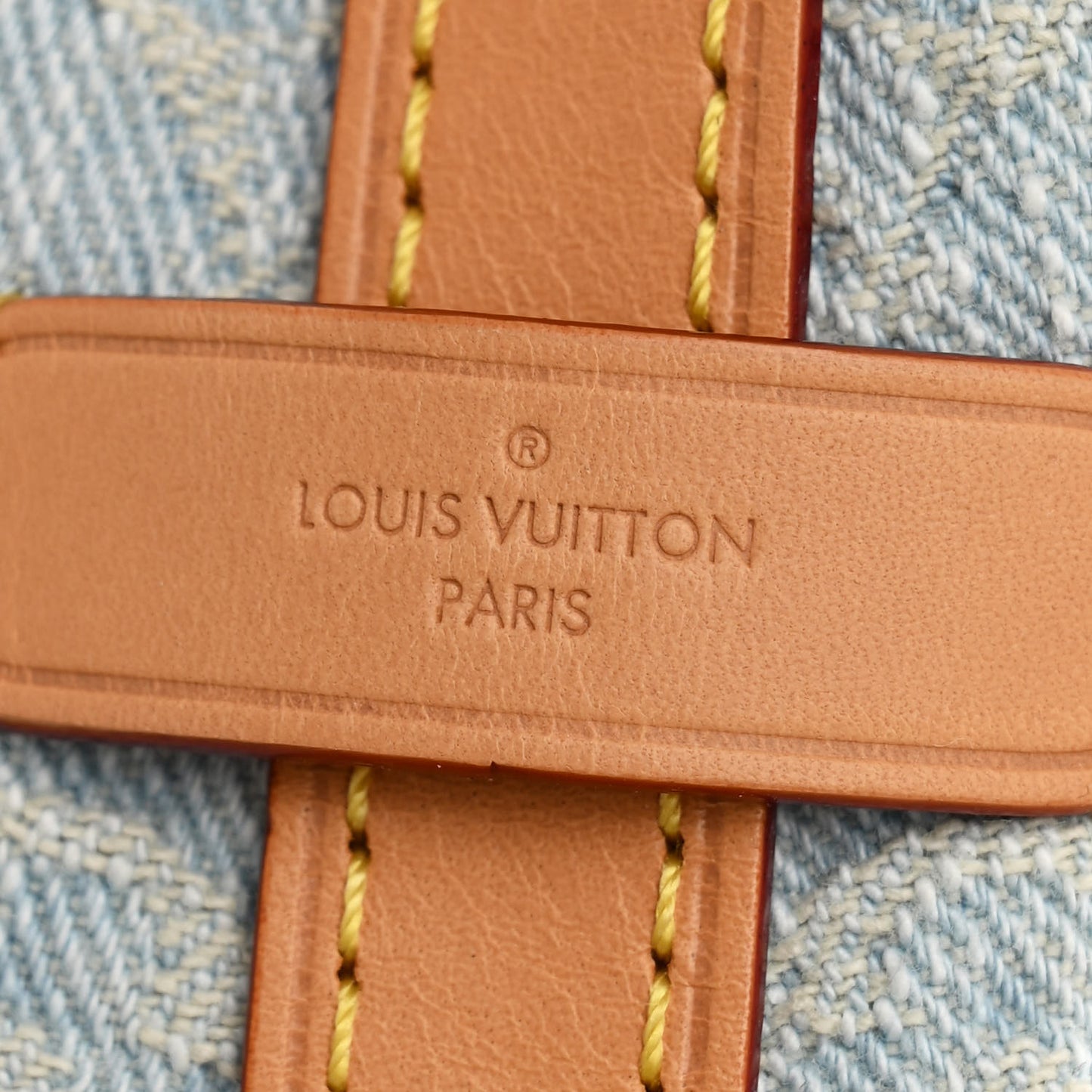 Monogram Denim CarryAll PM Sky Blue