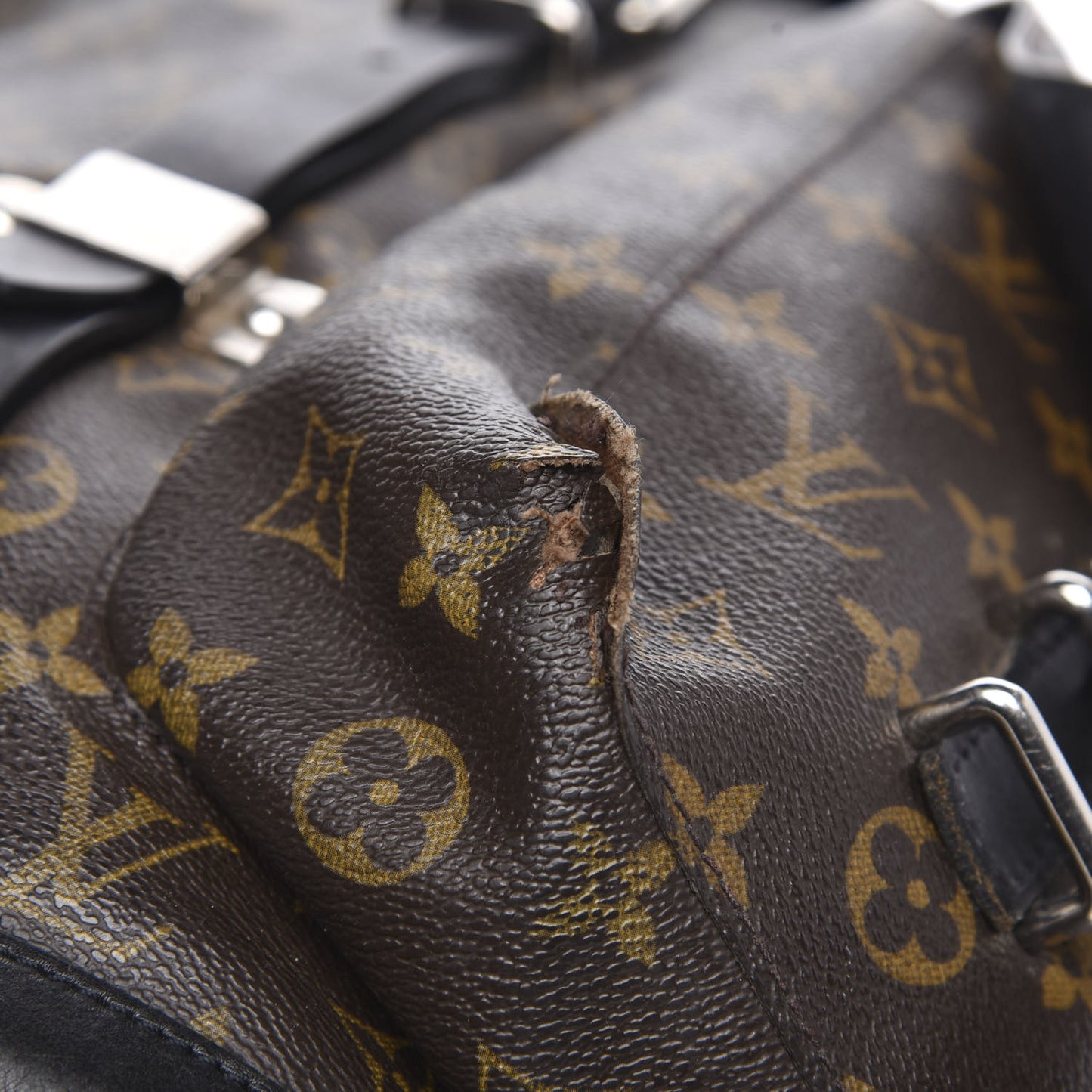 Monogram Macassar Christopher Backpack