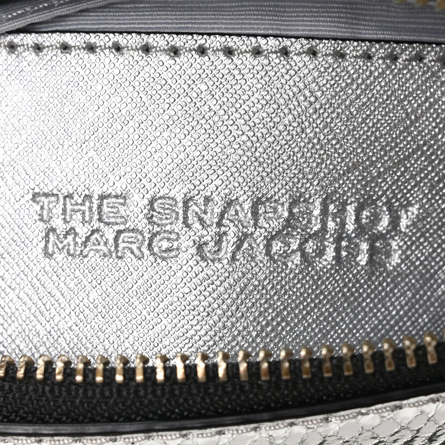 Metallic Sequin Snake Embossed Calfskin Stripe Snapshot Camera Bag Silver