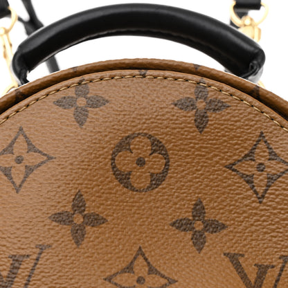 Louis Vuitton Reverse Monogram Palm Springs Backpack Mini 8 of 12