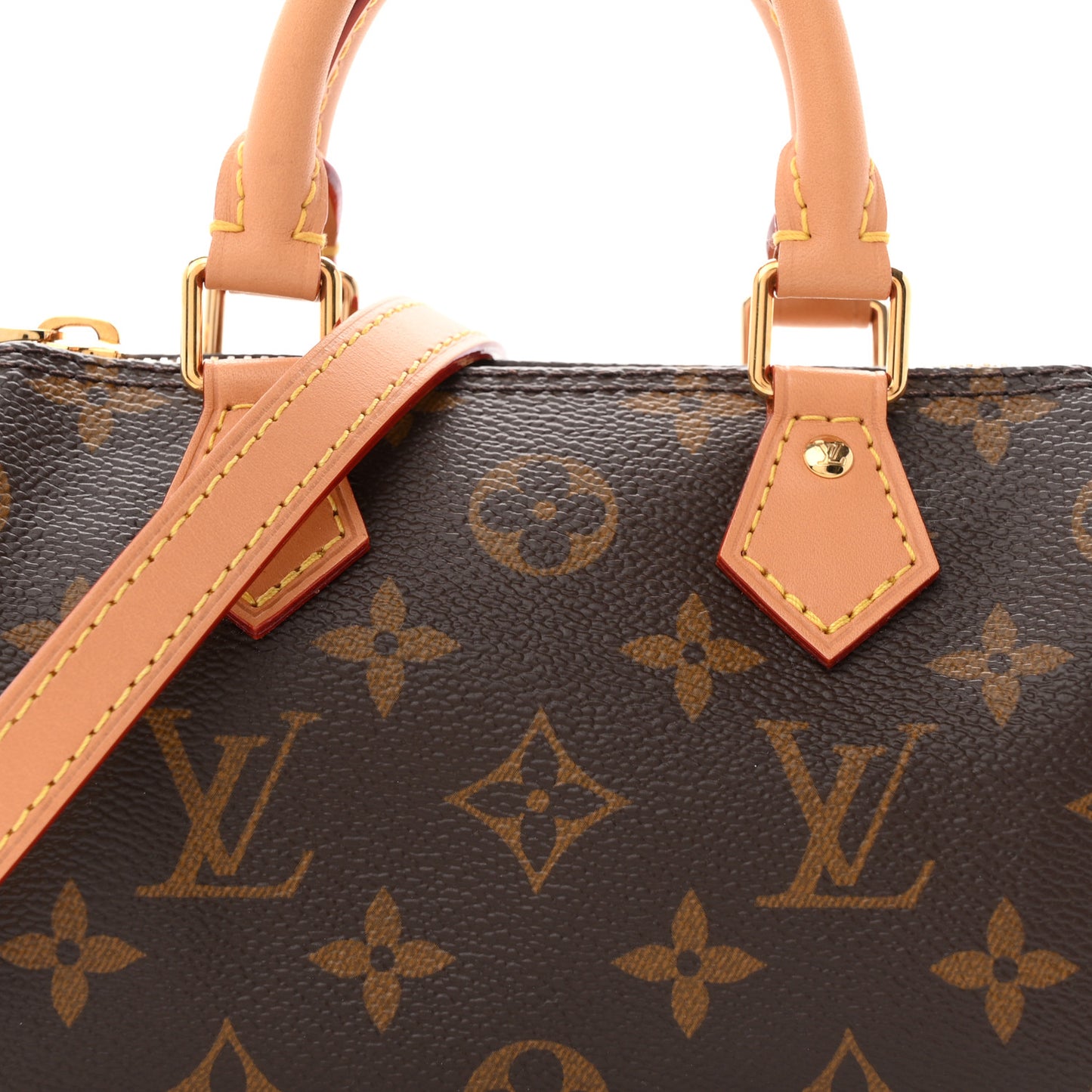 Monogram Nano Speedy Bandouliere