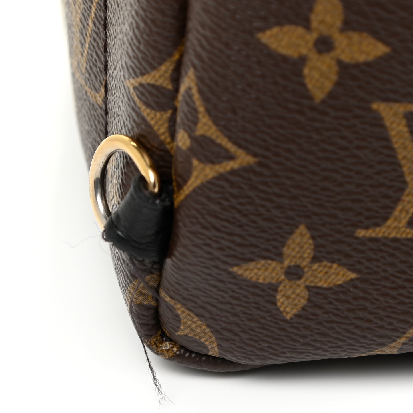 Monogram Palm Springs Backpack Mini