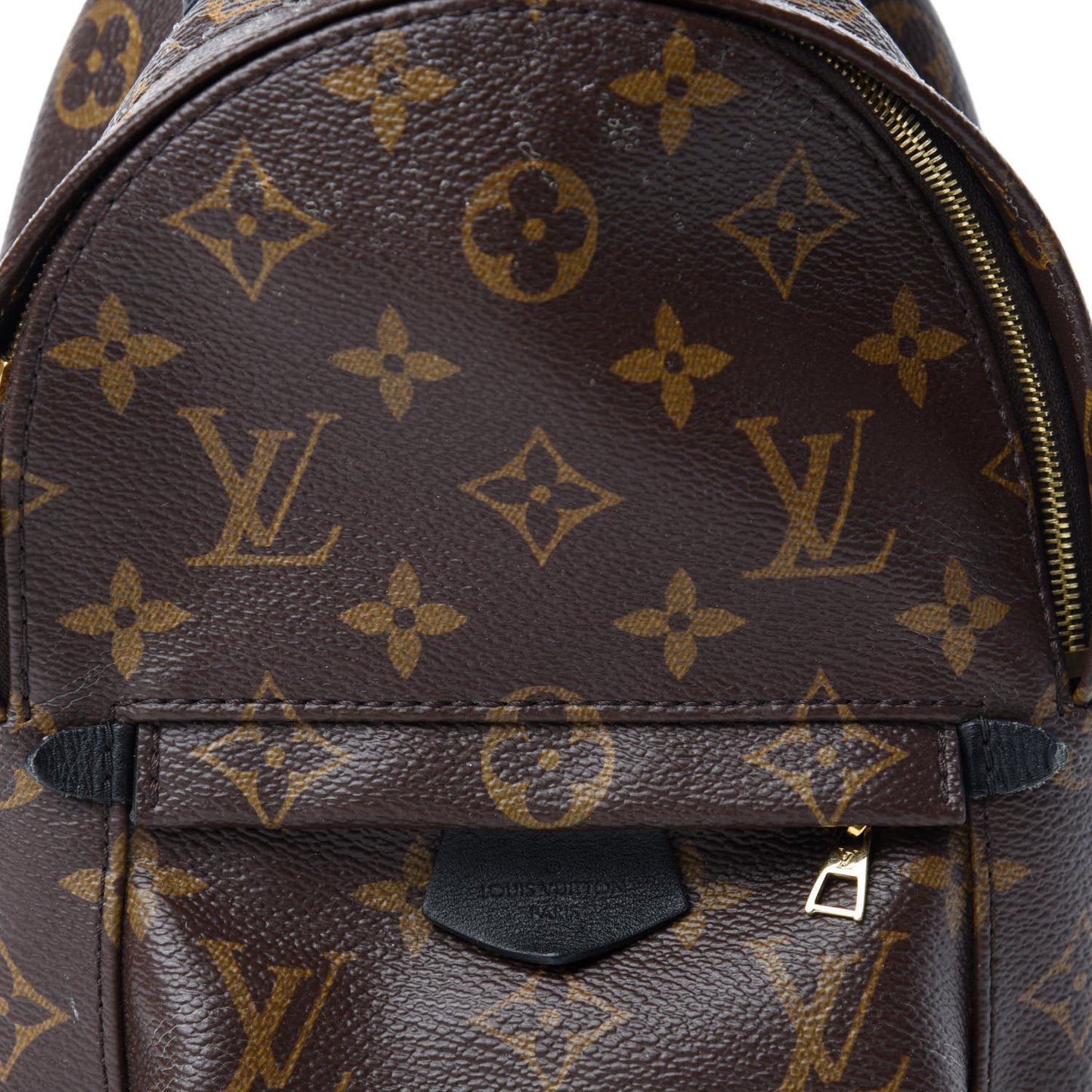 Monogram Palm Springs Backpack Mini