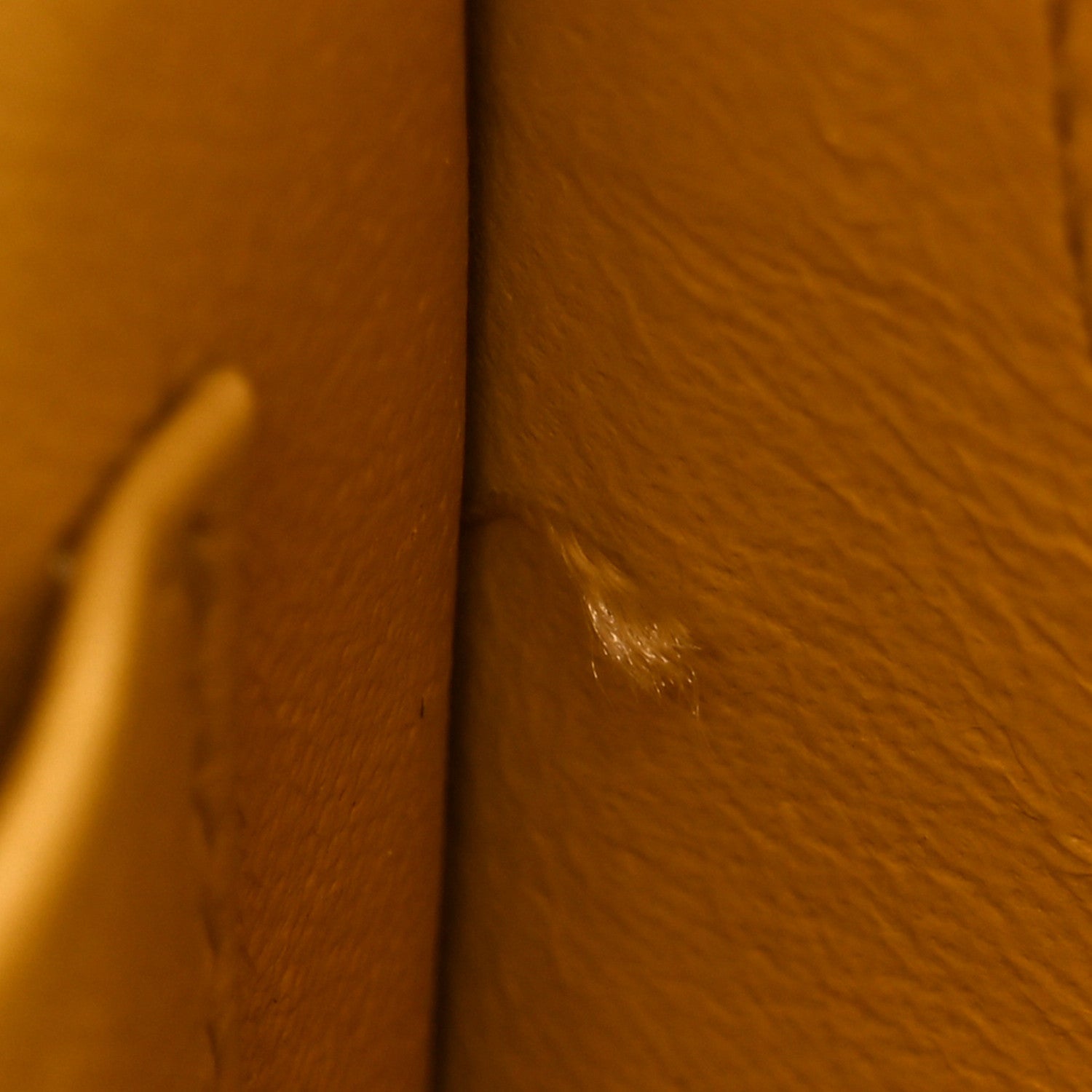 Celine Grained Calfskin Small Trotteur Vanilla 12 of 12