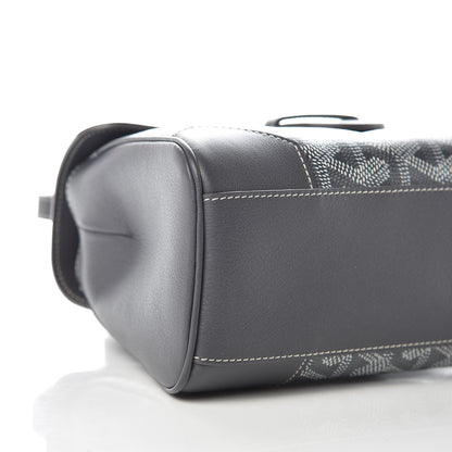 Goyard Goyardine Mini Saigon Grey 5 of 9