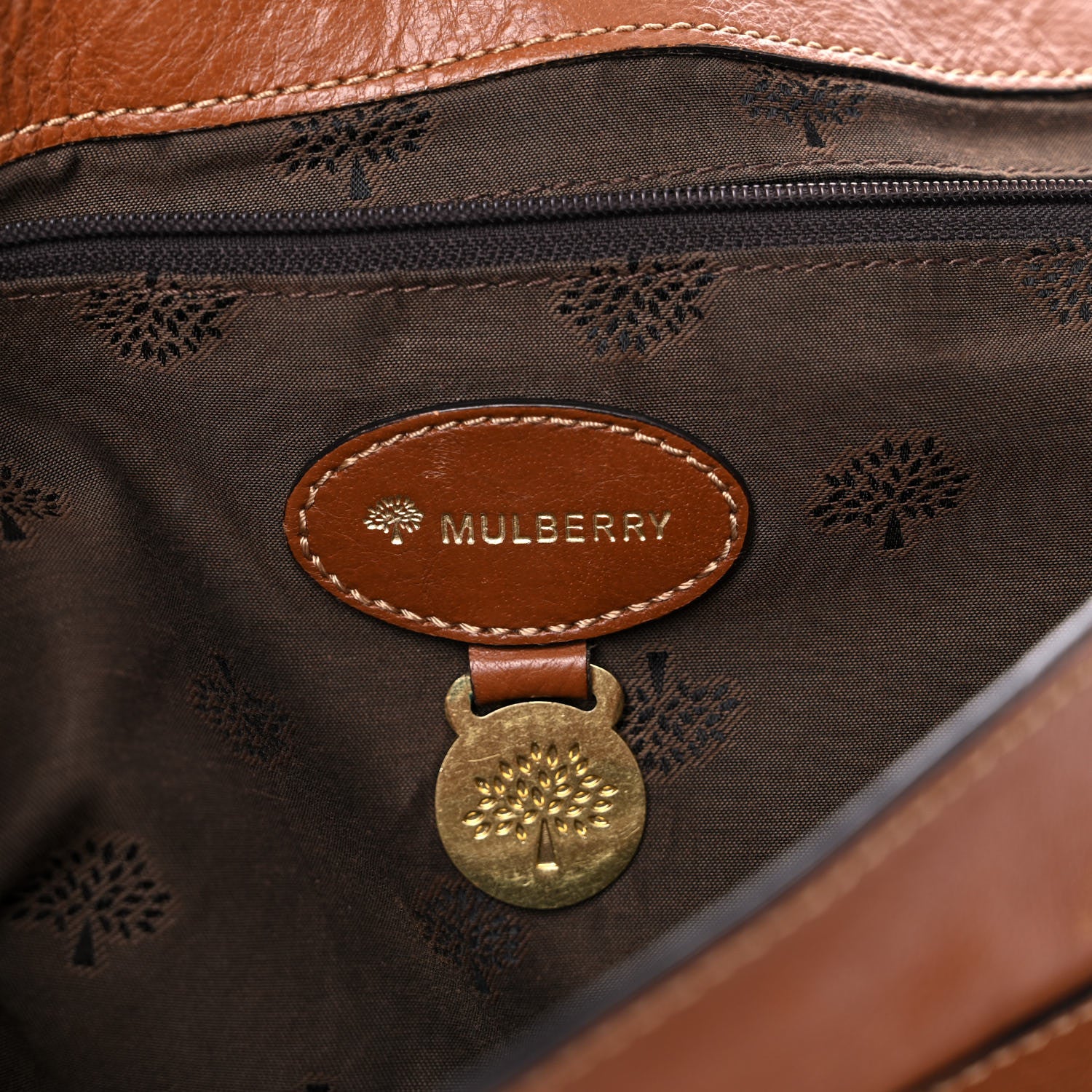 Mulberry Soft Buffalo Medium Alexa Oak 6 of 26