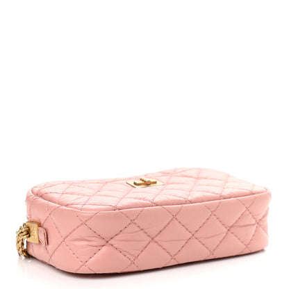 Chanel Aged Calfskin Quilted Mini Reissue Camera Case Pink 4 of 10