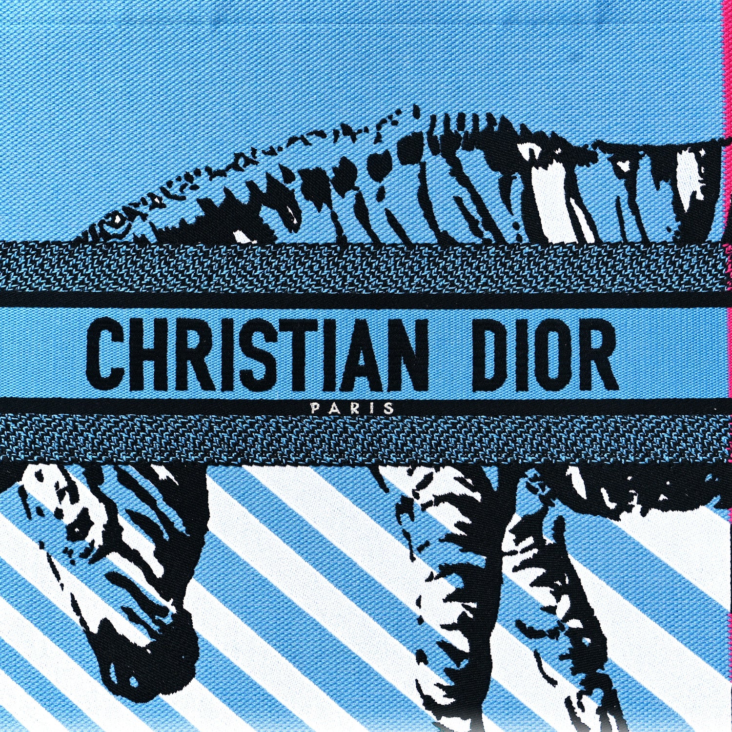 Christian Dior Canvas Embroidered Large Jungle Pop Book Tote Blue 8 of 11