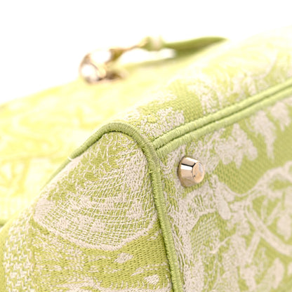 Christian Dior Canvas Toile De Jouy Reverse Embroidered Medium Lady D-Lite Green 9 of 13