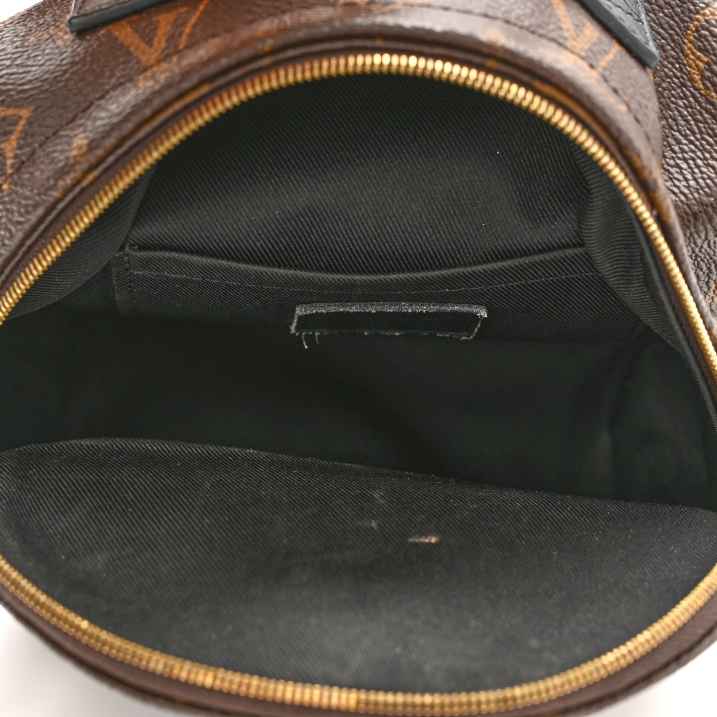 Monogram Palm Springs Backpack Mini