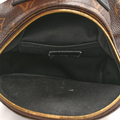 Louis Vuitton Monogram Palm Springs Backpack Mini 5 of 17