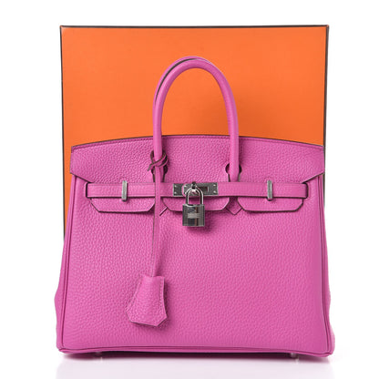 Hermes Togo Birkin 25 Magnolia 8 of 8