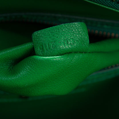 Celine Python Micro Luggage Grass Green 8 of 8