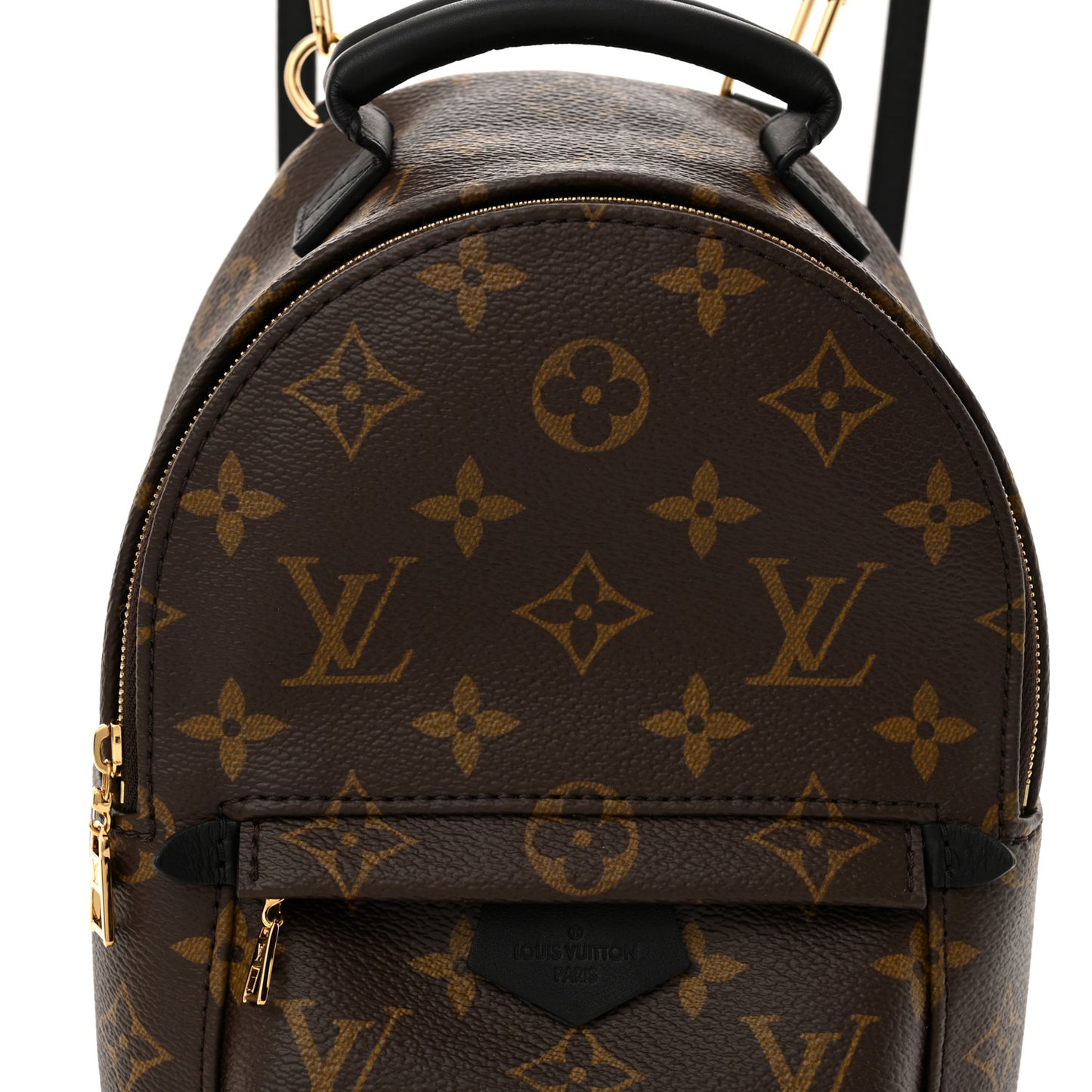 Monogram Palm Springs Backpack Mini