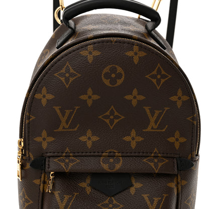 Louis Vuitton Monogram Palm Springs Backpack Mini 7 of 10