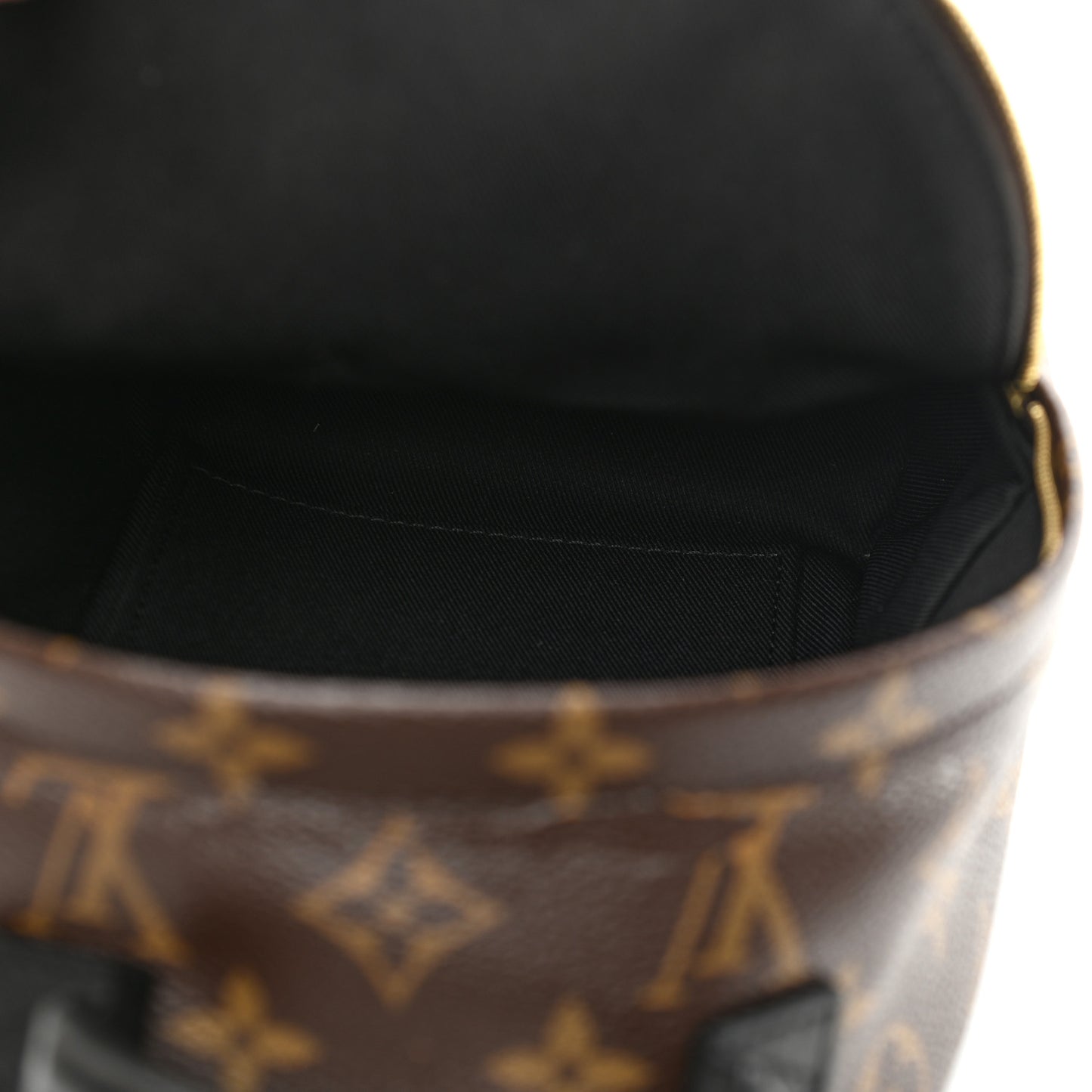Monogram Palm Springs Backpack Mini