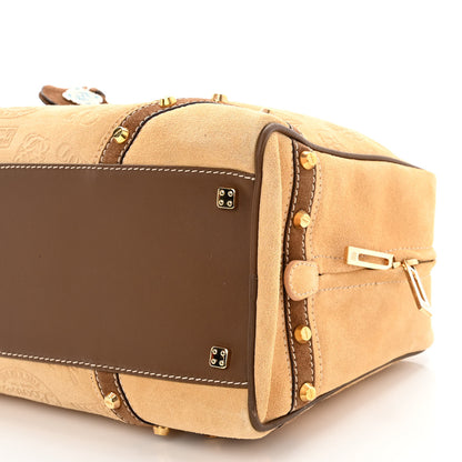 Loewe Suede Embellished 160 Anniversary Amazona Beige Brown 9 of 11