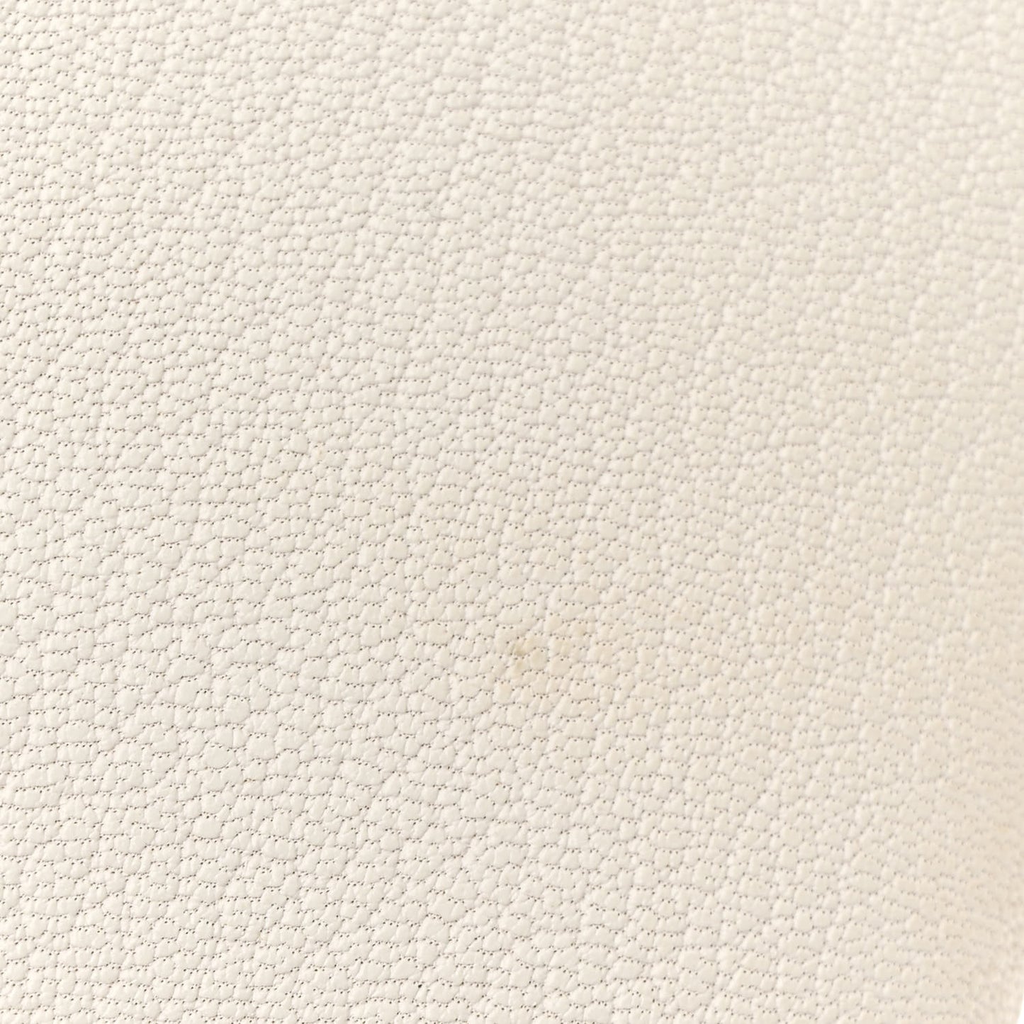 Chevre Mysore Mini Kelly Sellier 20 Mushroom