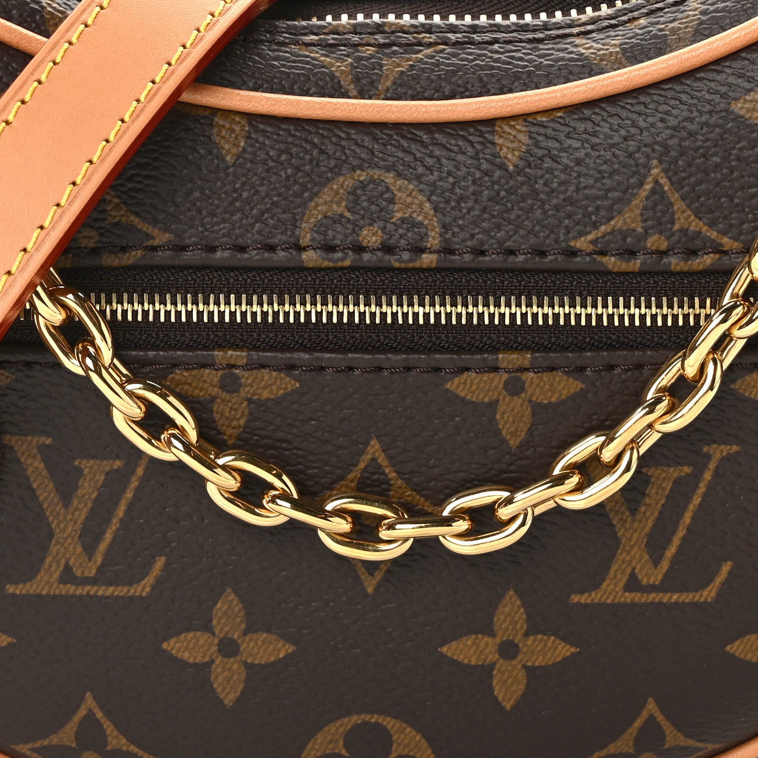 Louis Vuitton Monogram Loop 7 of 15