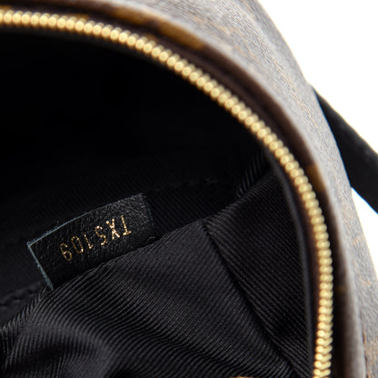 Louis Vuitton Monogram Palm Springs Backpack Mini 8 of 9