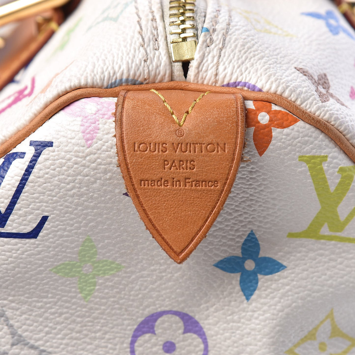 Monogram Multicolor Speedy 30 White