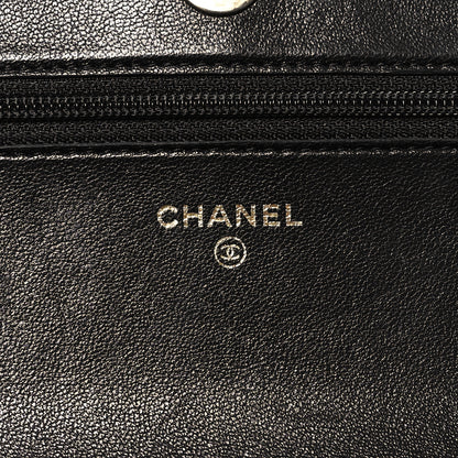 Chanel Lambskin Quilted Chanel 19 Wallet On Chain WOC Black 6 of 15