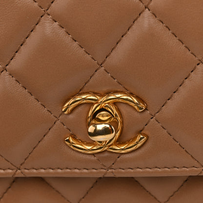 Chanel Calfskin Quilted Perfect Fit Wallet On Chain WOC Beige 14 of 16