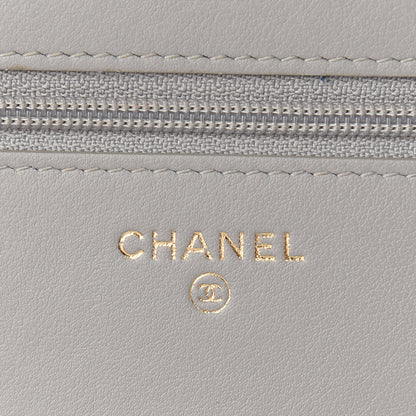 Chanel Caviar Quilted Boy Wallet On Chain WOC Grey 6 of 10