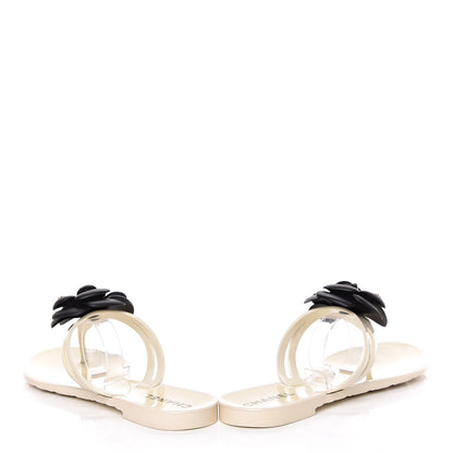 Chanel Jelly Camellia Thong Sandals 39 Ivory Black 14 of 15