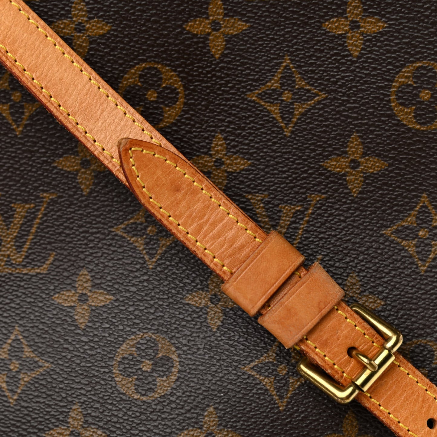 Monogram Musette Salsa