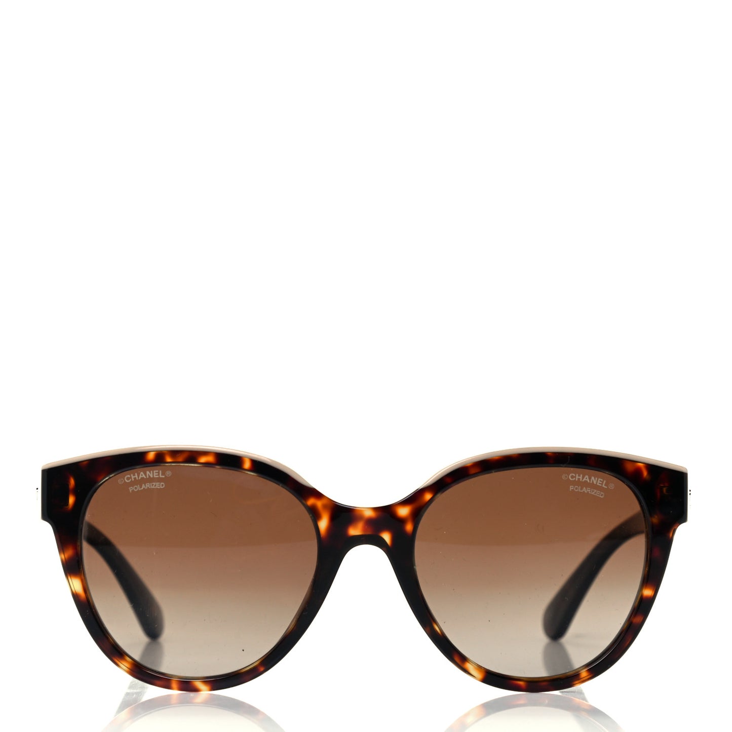 Acetate Polarized CC Butterfly Sunglasses 5414 Tortoise
