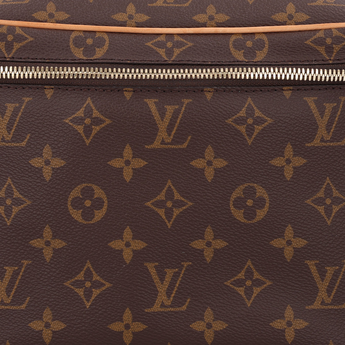 Louis Vuitton Monogram Nice BB 7 of 9