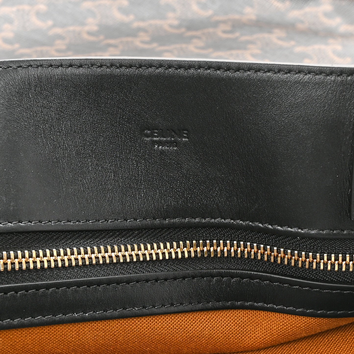 Triomphe Canvas Calfskin Large Vertical Cabas Black
