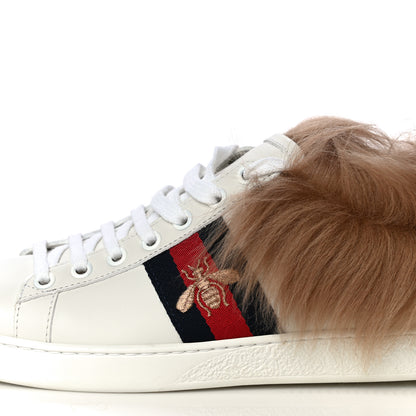 Gucci Calfskin Wool Web Bee Embroidered Womens Ace Sneakers 36.5 White 6 of 12