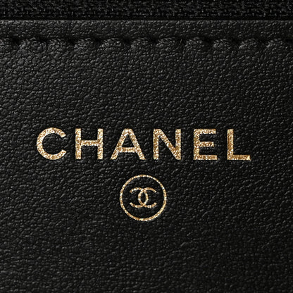 Chanel Tweed Shearling Quilted Chanel Wallet On Chain WOC and Coin Purse White Black 6 of 10