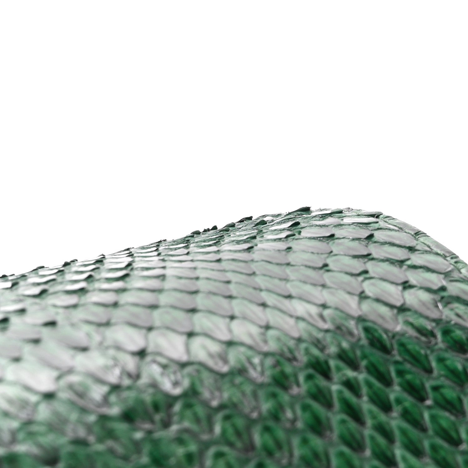 Celine Watersnake Teen Triomphe Green 12 of 14