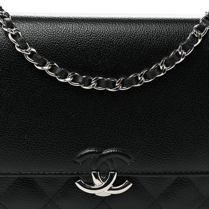 Chanel Grained Calfskin Quilted CC Box Wallet On Chain WOC Black 9 of 11