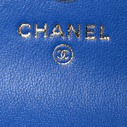 Chanel Raffia Jute Striped Belt Bag Blue Beige 6 of 14