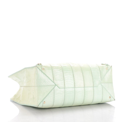 Balenciaga Python Papier A4 Tote Vert 4 of 9