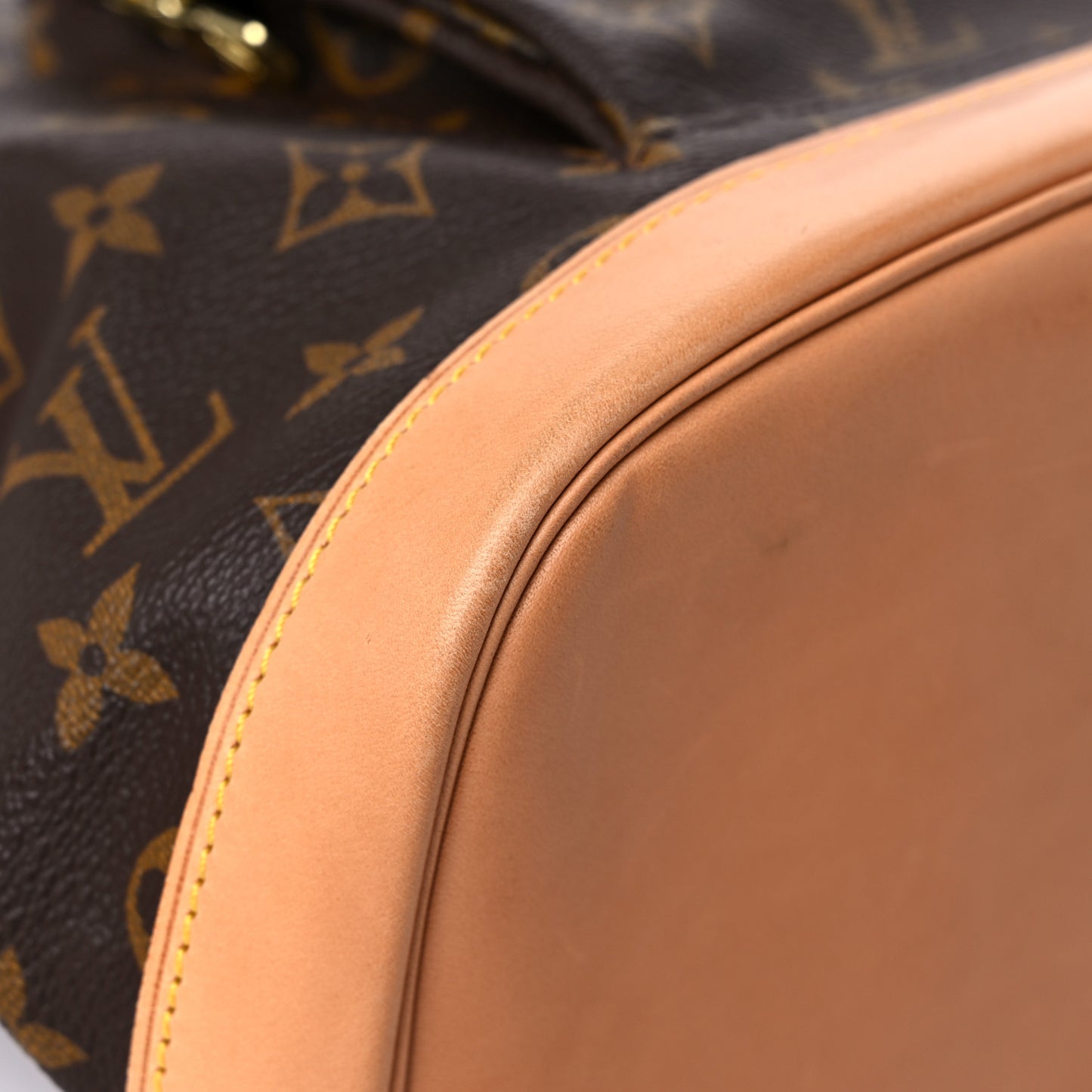 Monogram Montsouris GM Backpack