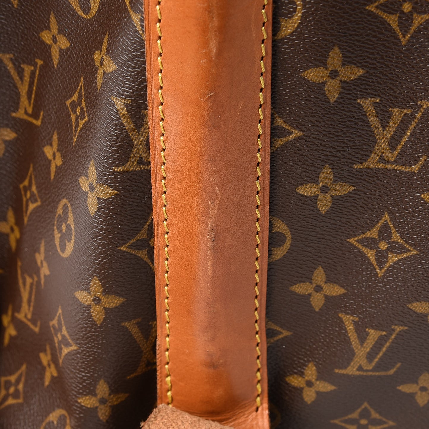 Monogram Portable Garment Bag