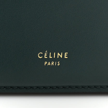 Celine Smooth Calfskin Medium Clasp Shoulder Bag Amazone 9 of 13