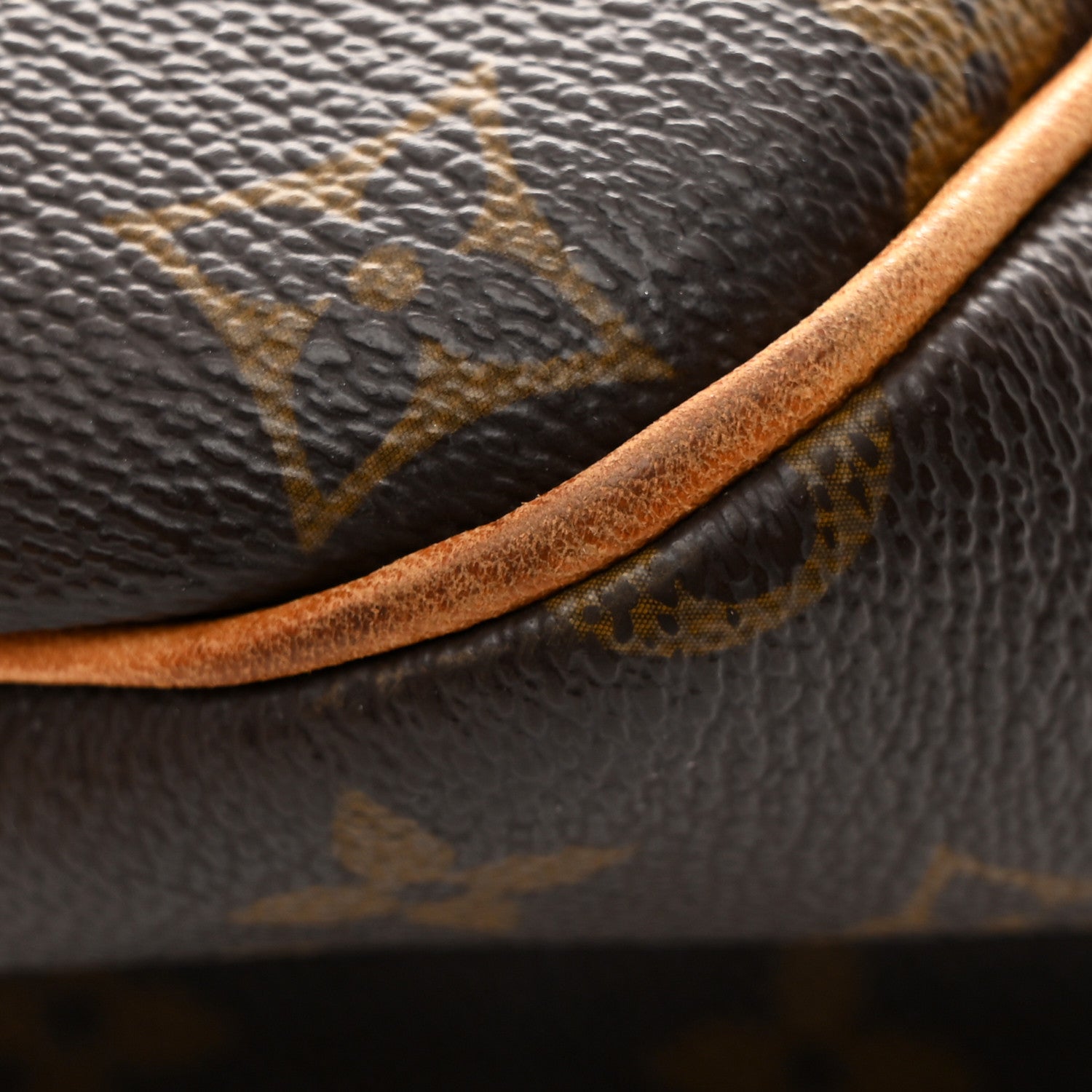 Louis Vuitton Monogram Delightful GM 19 of 23