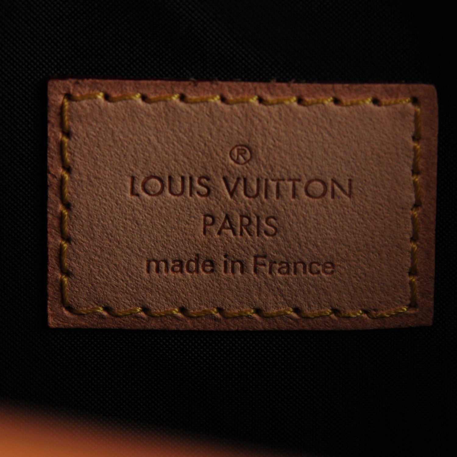 Louis Vuitton Monogram Baxter GM Dog Pet Carrier 6 of 7