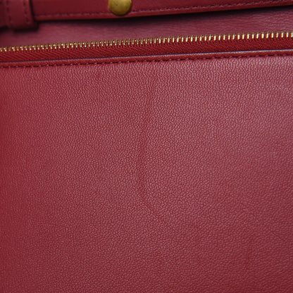 Celine Smooth Lambskin Frame Evening Chain Clutch Ruby Nude 10 of 13