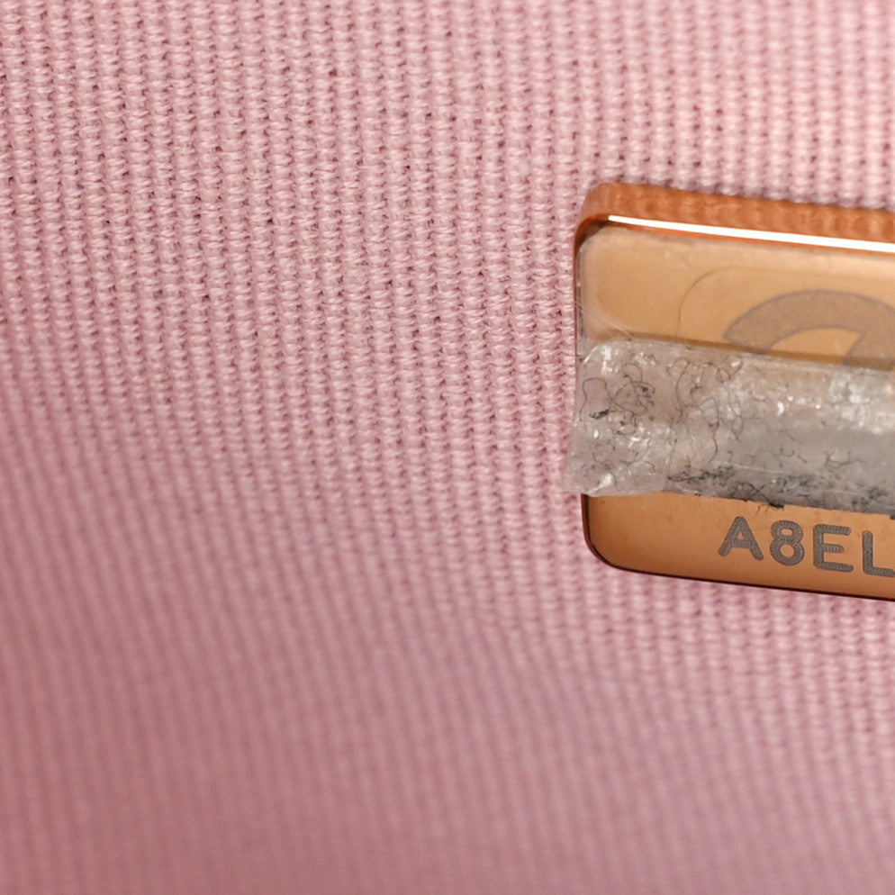 Lambskin Quilted Medium Chanel 19 Flap Light Pink