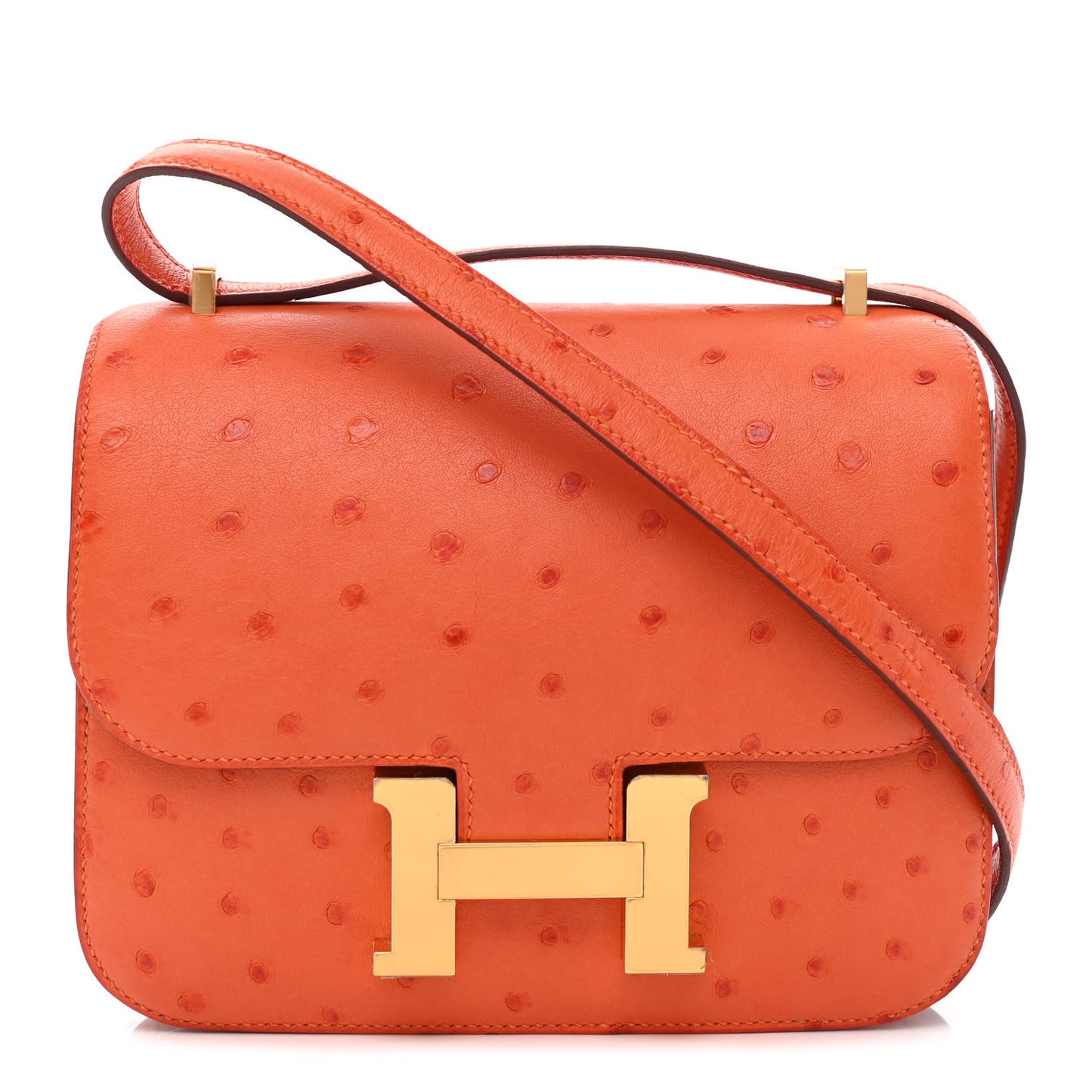 Ostrich Constance 18 Tangerine
